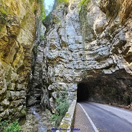 Liver 203 Tremosine